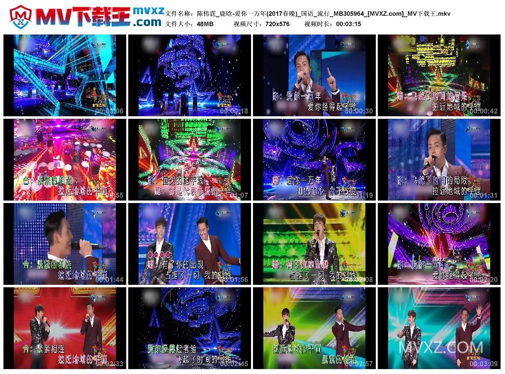 陈伟霆_鹿晗-爱你一万年(2017春晚)_国语_流行_MB305964